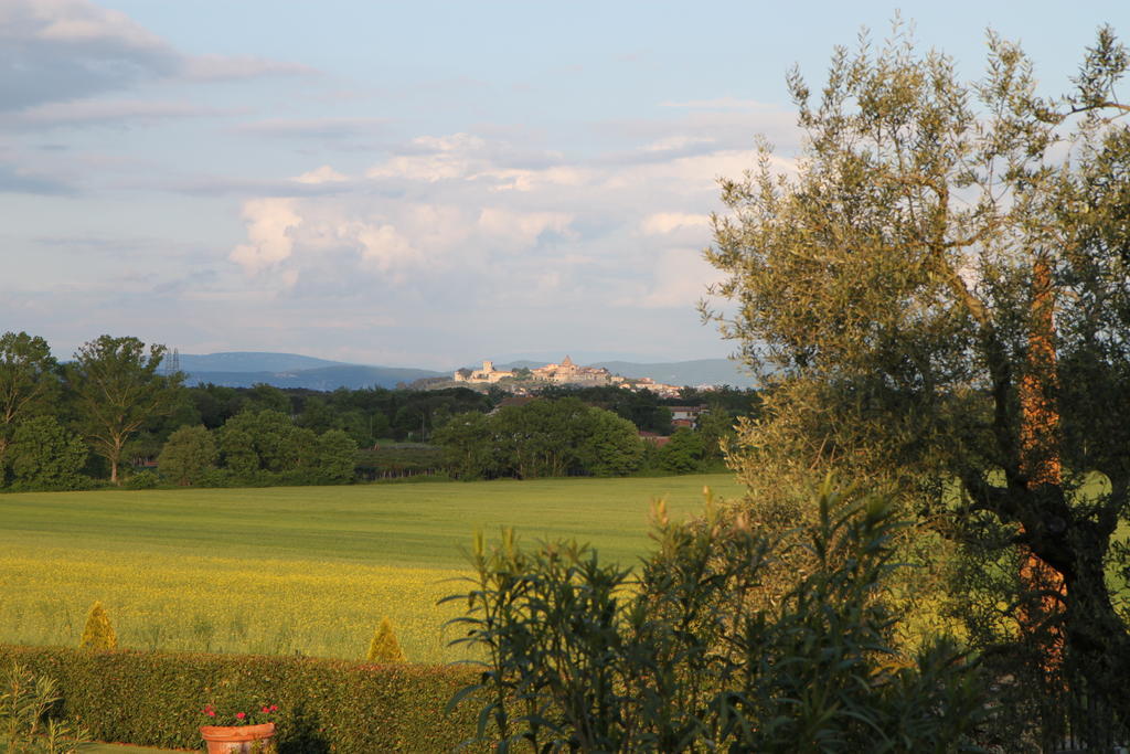 Agriturismo Verbena Кастильоне-дель-Лаго Экстерьер фото